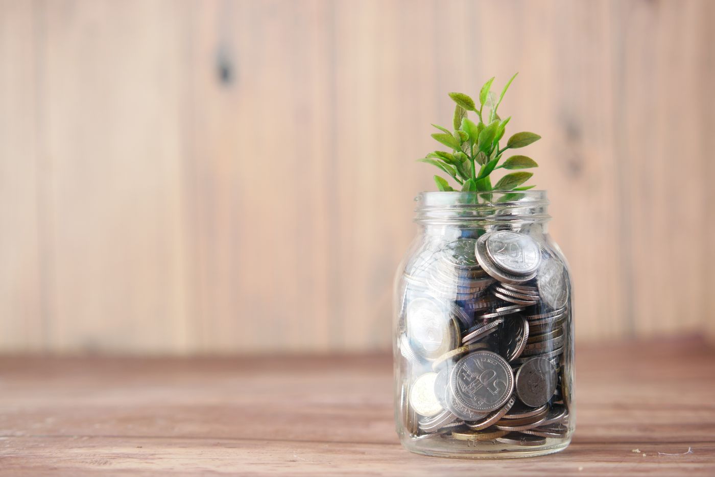 How Much Should I Contribute to KiwiSaver?