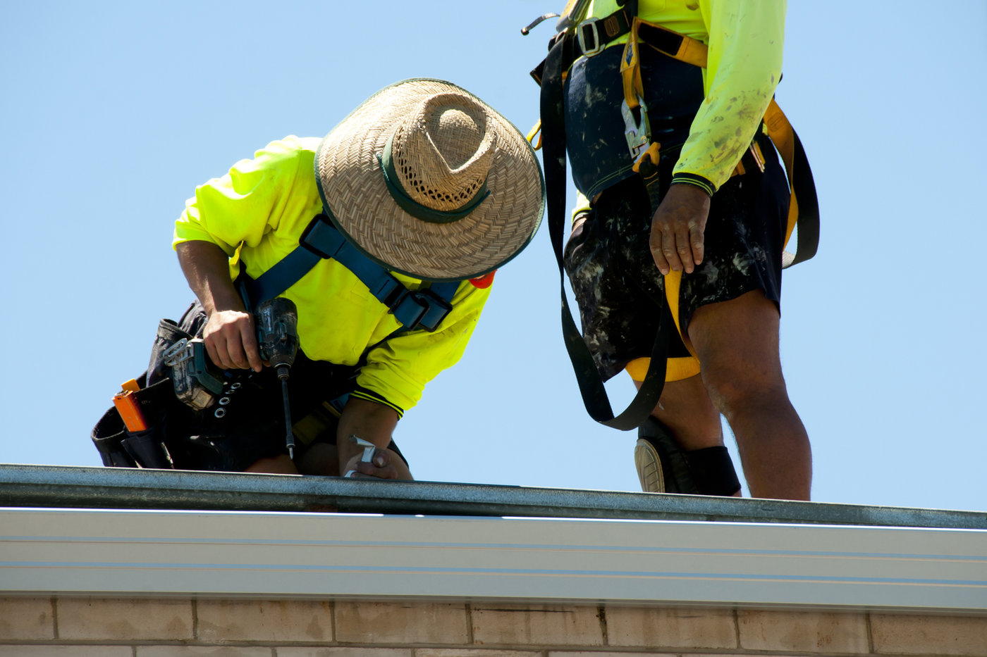 Income Protection for High-Risk Occupations in New Zealand
